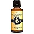 Eternal Essence Oils Orange Chiffon Cake 30ml Premium Fragrance Oil - for Candle, Soap Making, Aromatherapy, Diffusers, Home 