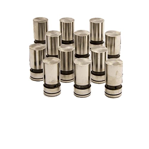 AMC Jeep 199 232 4.0L 242ci Hydraulic Lifters CJ7 Wrangler Gremlin Javelin Rambler (6 Cyl. 12V set)