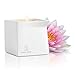 Jimmyjane Afterglow Natural Massage Oil Candle, Pink Lotus,4.5oz(127g)