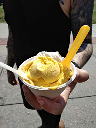 Revolution Gelato - Majestic Mango, 4 pack pints