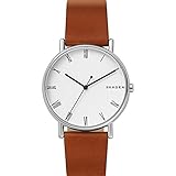 Skagen Signatur Watch