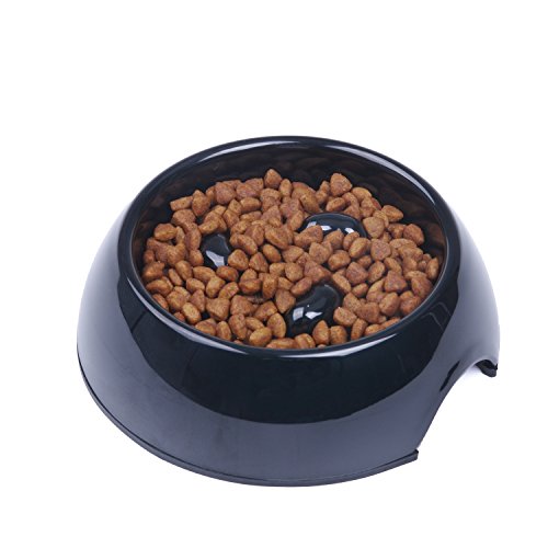 dog food bowl for fast eaters