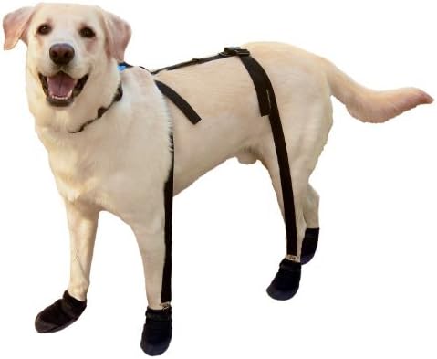 Canine Footwear Suspenders Snuggy Boots for Dog, Medium, Black by Canine Footwear Suspenders
