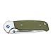 Ganzo G7522 Folding Bowie Hunting Pocket EDC Handle Knife (Green)