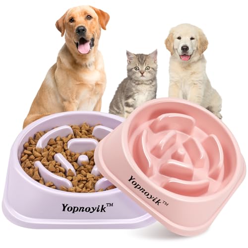 thumbnail image 2 of Aazon.co: Vancasso Slow Feeder Dog Bowl, 0.6 Cups Ceraic Dog Food 2 of 11