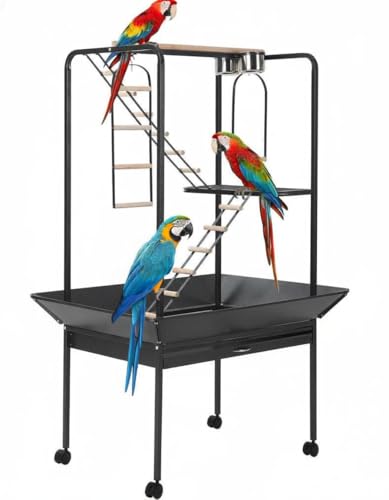 Garvee Birdcage Play Center