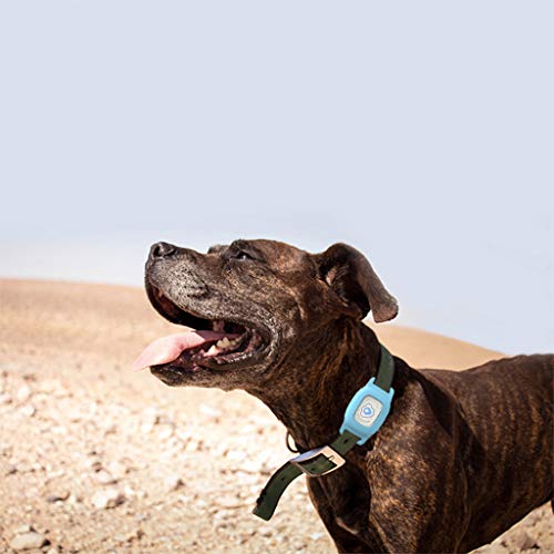 BARTUN Mini Pet Tracker GPS Locator for Dogs Cats 28lb Waterproof IP67 Real Time Activity Monitor AGPS LBS SMS Positioning Tracking Device with Collar Included SIM Card (Blue) - Thumbnail 3