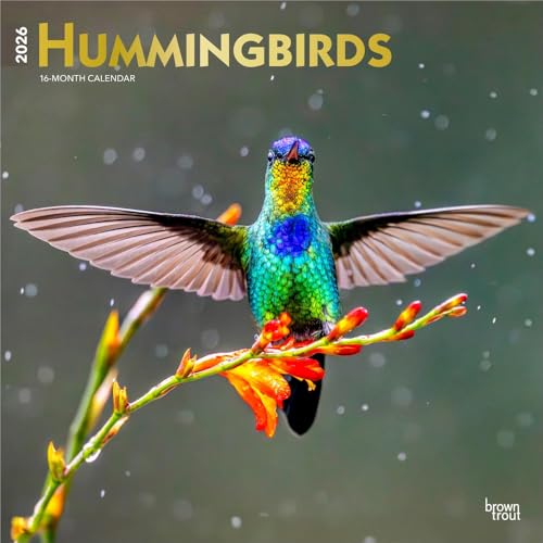 Hummingbirds | 2026 12 x 24 Inch (Hanging) Monthly Square Wall Calendar | Foil…