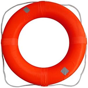 Adult Size Foam Ring Buoy for Swimming Pools 28 inch with Perimeter Rope