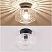 TeHenoo Industrial Flush Mount Ceiling Light, Texture Clear Glass Shade Semi Flush Mount for Hallway,Entryway,Foyer,Bedroom, Cafe, Bar, Corridor,Passway