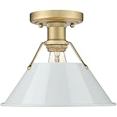 Golden Lighting 3306-FM BCB-DB Orwell - 1 Light Flush Mount 8 Inches Tall and 10 Inches Wide, Finish Color: Brushed Champagne