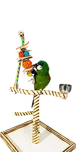 Birds LOVE Bird Play Gym Tabletop w Cup, Toy Hanger and Toy, Bengal TigerTail Stand – Large