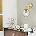 Light Society LS-W264-BB-CL Zeno Brushed Brass and Clear Glass Globe Wall Sconce, Mid Century Modern Retro Vintage Style