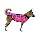 Dog Ristop Life Jacket Quick Release Swimming Vest,Fish Style Floatation Vest,Brighted Colour Easy Handle for Small Medium Large Breeds,Mermaid Small ByHeroDog