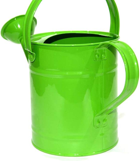 yourjoy Galvanized Metal Wating Can 67 OZ (0.5 Gallon), Watering Pot with Handle and Removable Spout for Outdoor and Indoor Plant Watering : Garden & Outdoor