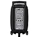 Alphasonik 10″ Portable Rechargeable Battery Powered 1000W Pro DJ Amplified Loud Speaker with 2 Wireless Microphones Echo Bluetooth USB SD Card Aux MP3 FM Radio PA System LED Ring Karaoke Tripod Standthumb 2