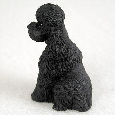 showcase miniature poodles
