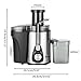 Electric Juicer Machine, Fruit and Vegetable Juicer 600ML Juice Cup 1000ML Slag Cup Double Gear Electric Juicer Stainless Steel Black