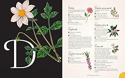 The Complete Language of Flowers: A Definitive and