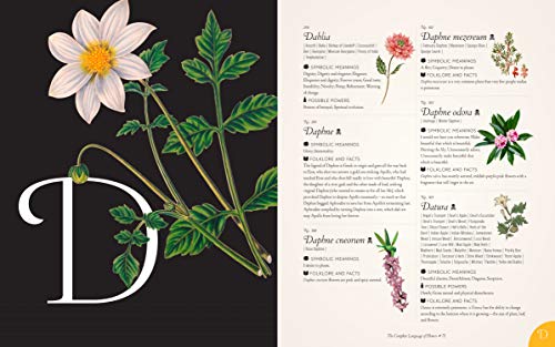 The Complete Language of Flowers: A Definitive and Illustrated History (Complete Illustrated Encyclopedia)