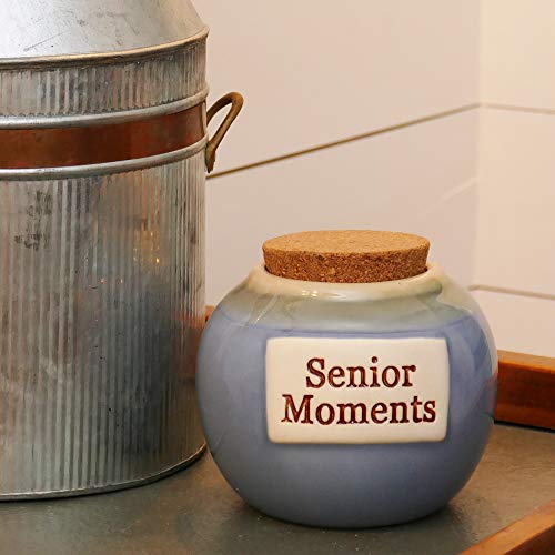 Tumbleweed Cottage Creek Funny Gifts Decorative Senior Moments Jar Funny Piggy Bank/Funny Ceramic Coin Bank Gag Gifts [Blue] - Thumbnail 6