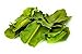 Dried Kaffir Lime Leaves in Bag, 0.88oz