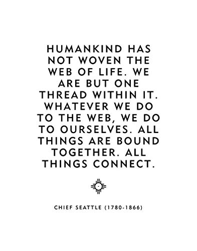 20+ Native American Inspirational Quotes Life - Brian Quote