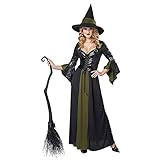 California Costumes Women's Classic Witch Long Dress, Black/Green, X-Large