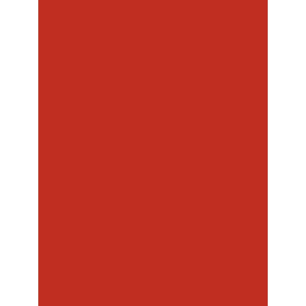 Clairefontaine 384506C Pack of 25 Sheets of Coloured Poster Paper 90g/m² Format 60x80cm Cutting Writing Collage Creative Activities Adults Children Colour Red — image 1