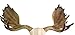 Resin Moose Skull Rustic Wall Head Mount 19 Inch