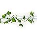 Darice Ivy Green, Flocked, 6 Feet Garland