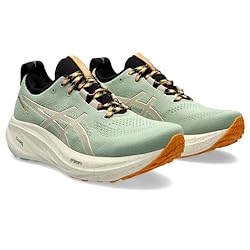 ASICS Men's Gel-Nimbus 26 Trail Running