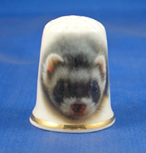 Porcelain China Thimble -- Ferret