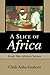 A Slice of Africa: Exotic West African Cuisines by Chidi Asika-Enahoro