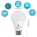 LED Bulbs,Mulcolor LED Light Bulb/Led Globe Bulb/Led Bulbs Indoor, 60 Watt Equivalent, ETL Certification Listed, 800 Lumen, E26 Socket, Soft White (3000K),Not Dimmable …