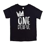Boys 1st Birthday Outfit Mr One-Derful Tee Shirt for Boys 1st Birthday Shirt Silver on Black Short Sleeve