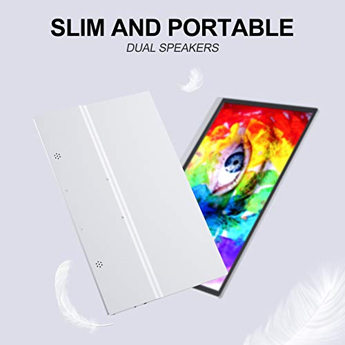 Portable Monitor - 15.6 Inch Portable Screen 1920×1080 Full HD IPS with USB-C/Type-C/Mini HDMI Suitable for Laptop, PC, MacBook Pro, Xbox, PS4, iPhone Series and Smart Phone with Type-C Full Function