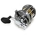 Shimano Tekota 800 Conventional Reel, 30 Pounds/450 Yards