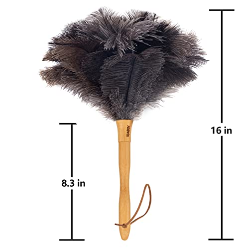 Aldwin Ostrich Feather Duster, 16 inch Gray Ostrich Feathers with Wood
