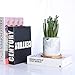 SQOWL 4 inch Marble Ceramic Succulent Planter Pot Indoor Modern Cactus Herb Flower Planters with Bamboo Tray Set of 3