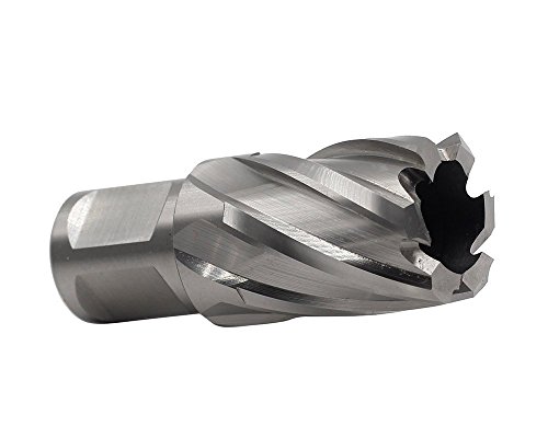 Annular Cutter JESTUOUS 3/4 Inch Weldon Shank 15/16 Cutting Diameter 1 Cutting Depth Two-Flat HSS Kit for Magnetic Drill Press,1 Piece