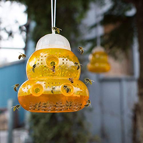 Aspectek 2-Pack Hornets, and Bees (Wasp Trap), 2 Pack, Yellow