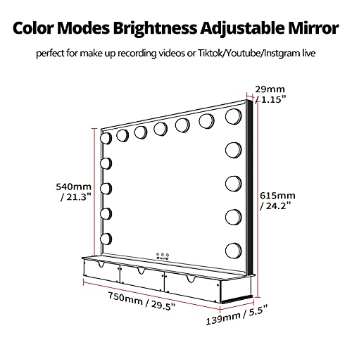Large Vanity Mirror with Lights, Large Hollywood Makeup Vanity Mirror
