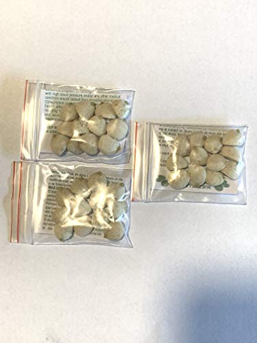 3 Pack Indian Nut 36 Seeds for Weight Loss original Nut,Indian seed