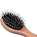 Boar Bristle Hair Brush for Men/Women/Kids - Mini German Natural Beech Wood Professional Detangler Hairbrush for Pocket/Purse/Travel, Giftbox Included