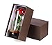 YSBER Artificial Flower Beauty & The Beast Colorful Rose and LED Light in Glass Dome on a Wooden Base for Lover, Mother, Girlfriend. (Warm White Light Rose Shade)