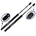 Two Rear Trunk Lid Gas Charged Lift Supports for 98-05 VW Passat Sedan, 99-04 VW Jetta Sedan, 05 VW Jetta GL Sedan, Left or Right Side. WGS-120-2