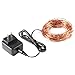 DecorNova 120 LEDs 40 Feet Flexible Copper Wire String Fairy Lights with 3V Adapter, 39.4, Warm White