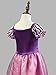 Rapunzel Princess Dress Kids Girl Halloween Costume 2T-12 USA