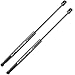 AUTOSAVER88 Front Hood Lift Supports Struts Compatible with Dodge Ram 1500 2500 3500 2002 2003 2004 2005 2006 2007 Prop Rod Shock Damper 2Pcs ATLS8006